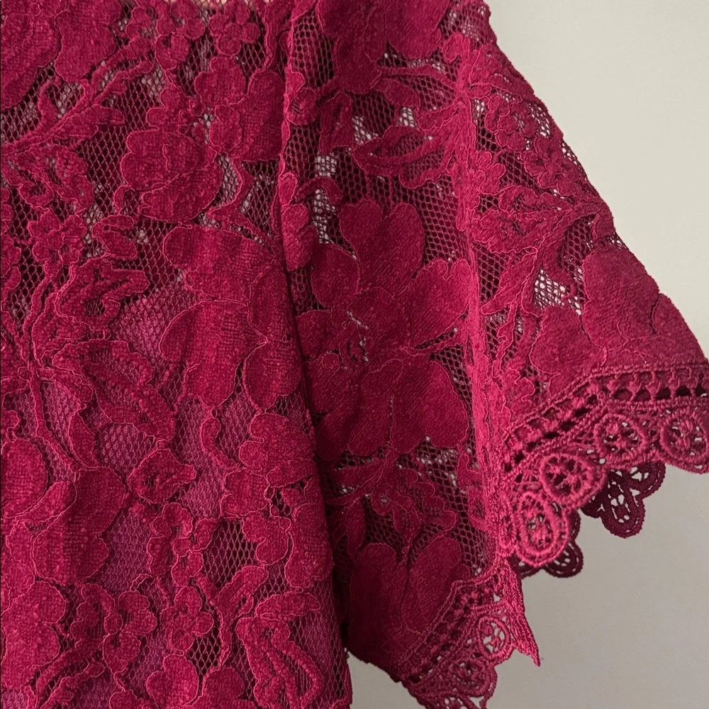 Anthropologie Blue tassel size M Elegant Lace Rapsberry  Top - Picture 3 of 6